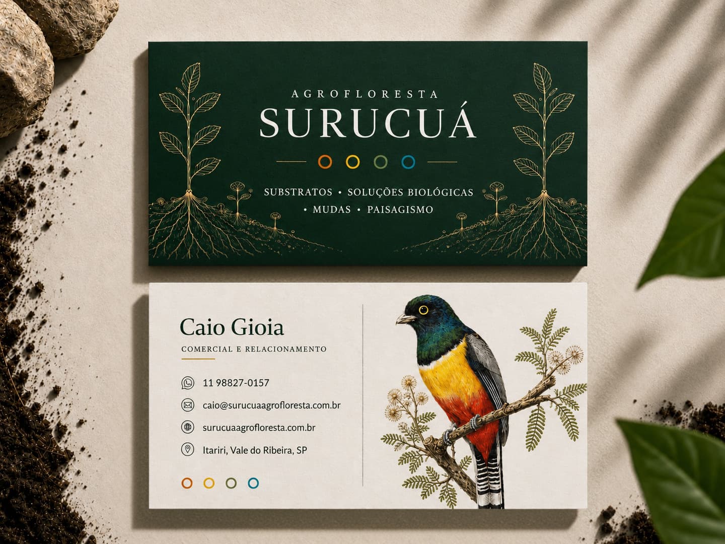 Agrofloresta Surucuá, imagem 3